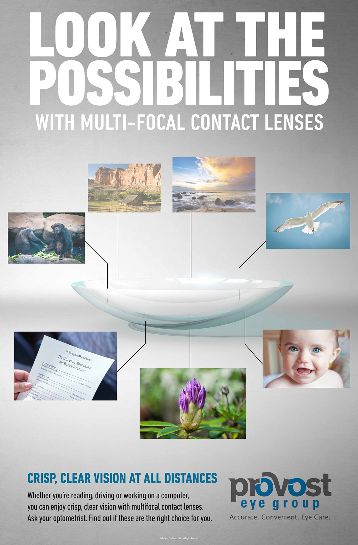 Contact Lens  poster