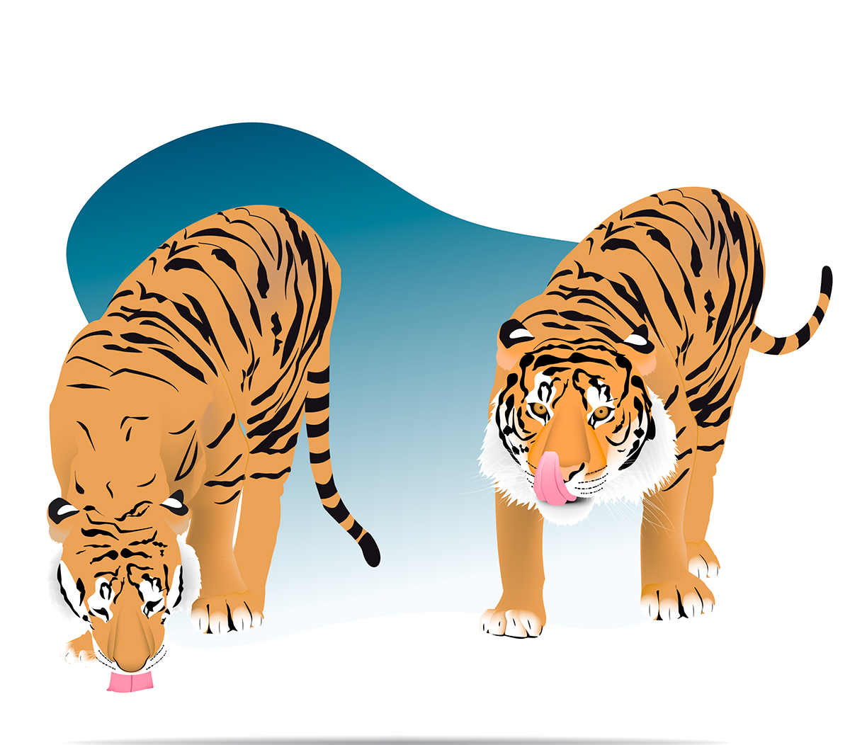 tigre vector Illustrator Ilustração desenho animais fantasy laurenço porto India
