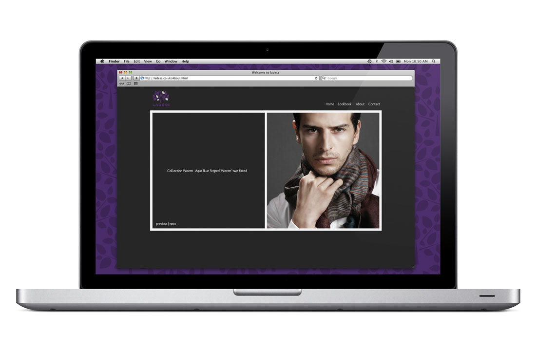 leigh evans Corporate Identity Pashmina purple Tree  Nature silver luxury Website application