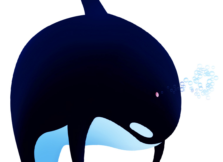 orcas animals Ocean Character design  sketches mamals orca character concept ILLUSTRATION  Drawing 