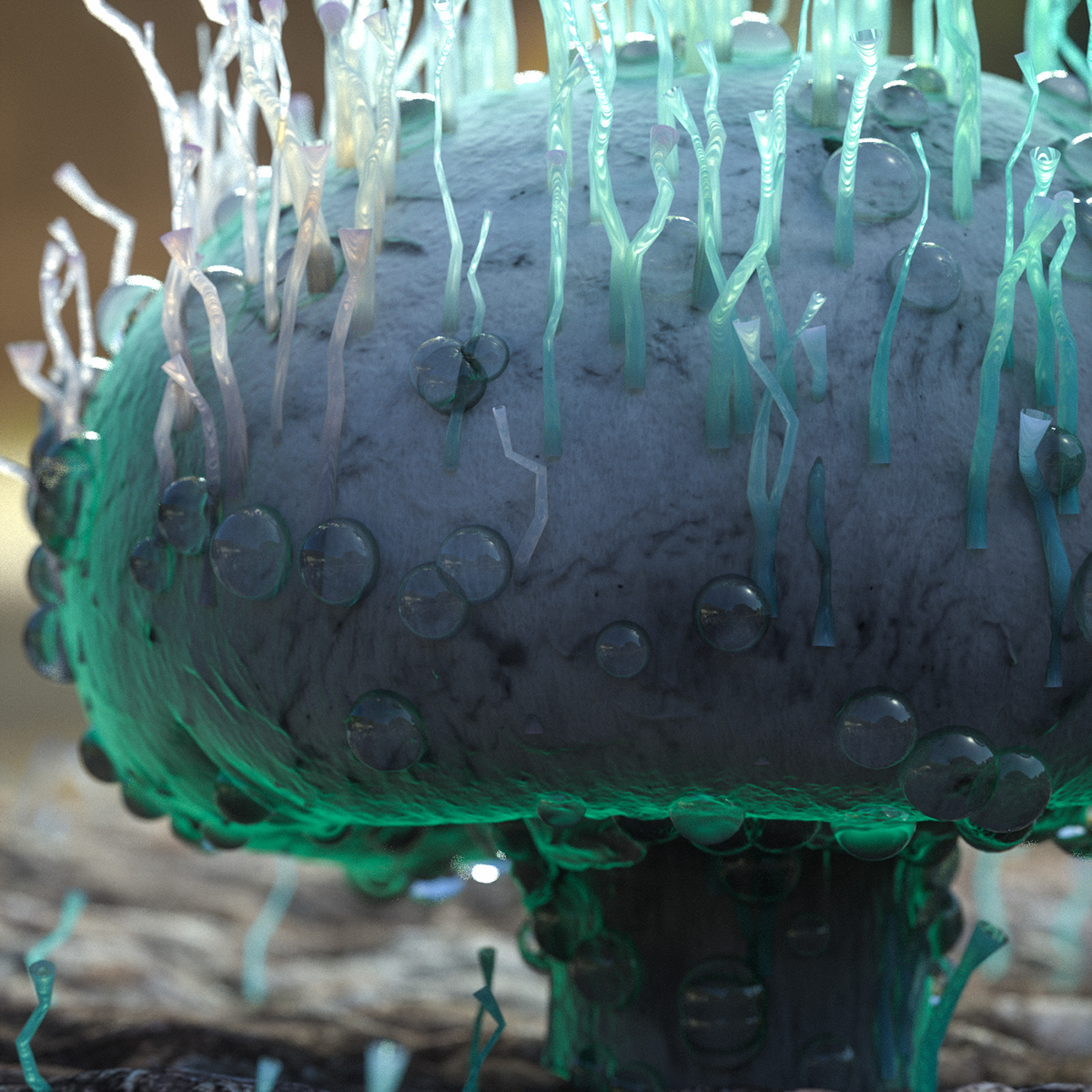 surreal Space  alien water plants abstract skull 3D octane c4d