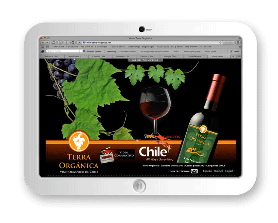 Terra Orgánica Corporate Identity Corporate Design organic wine