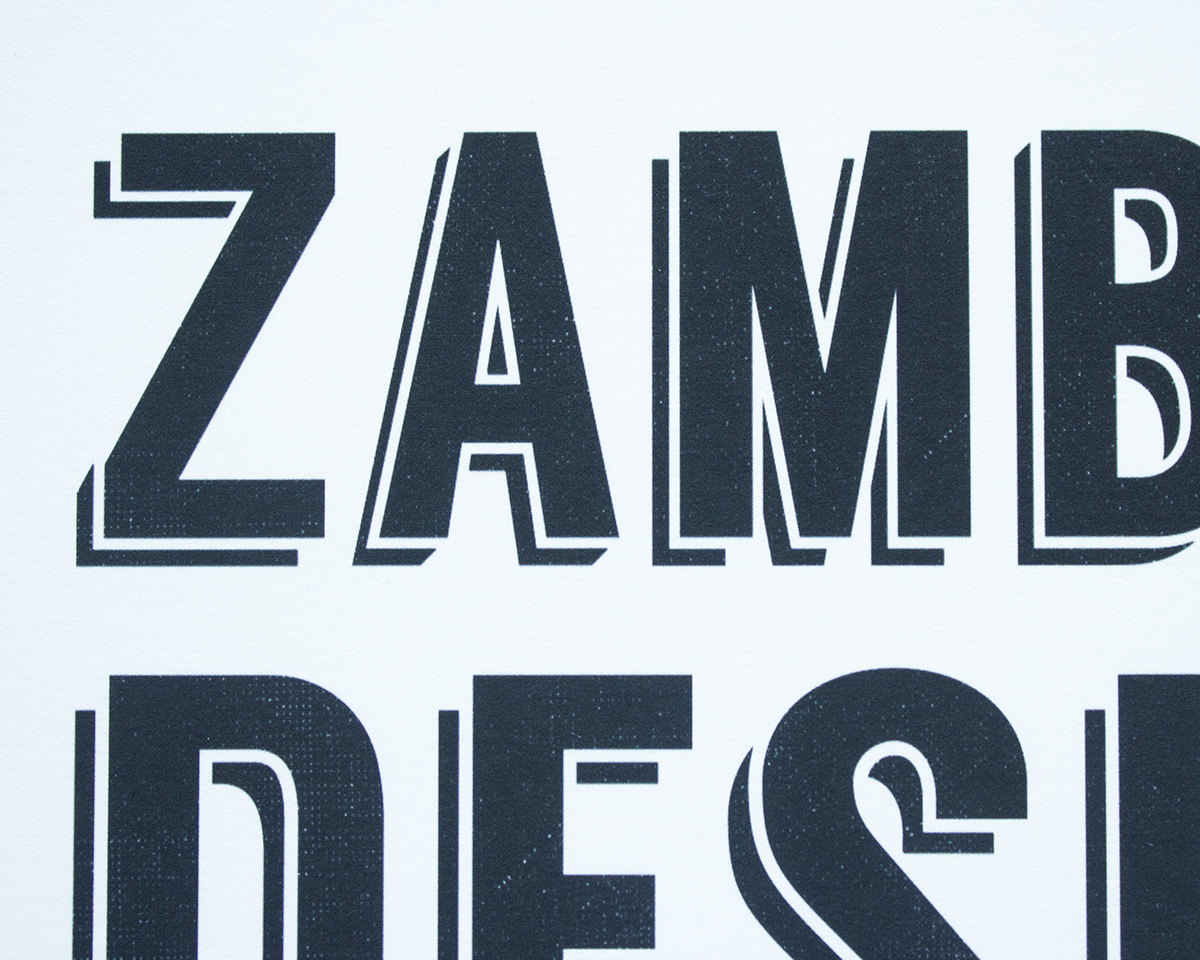 Zambezi Zambezi River Bull shark shark Logo Design brand identity company identity