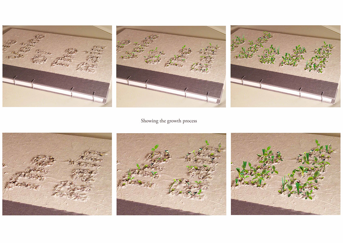 Nature rain growth paper handmade texture binding book format