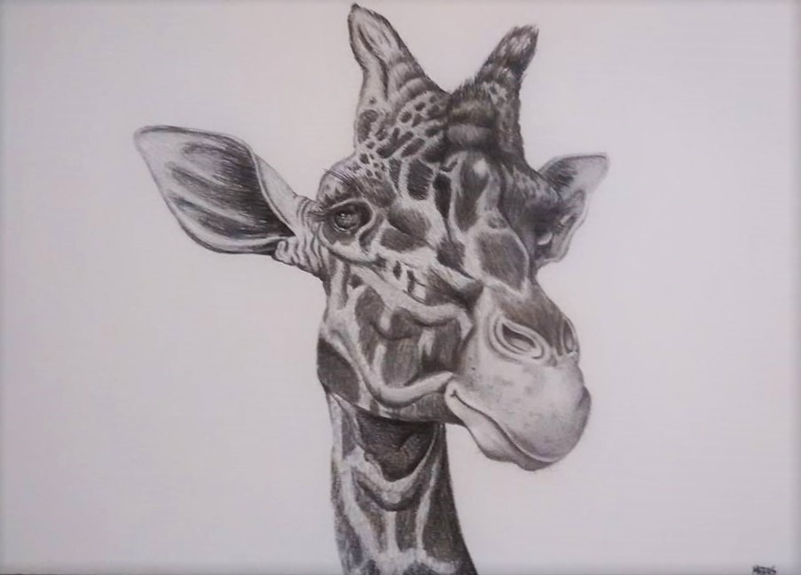 girafe draw realist animal animal draw girafe draw realist girafe draw training