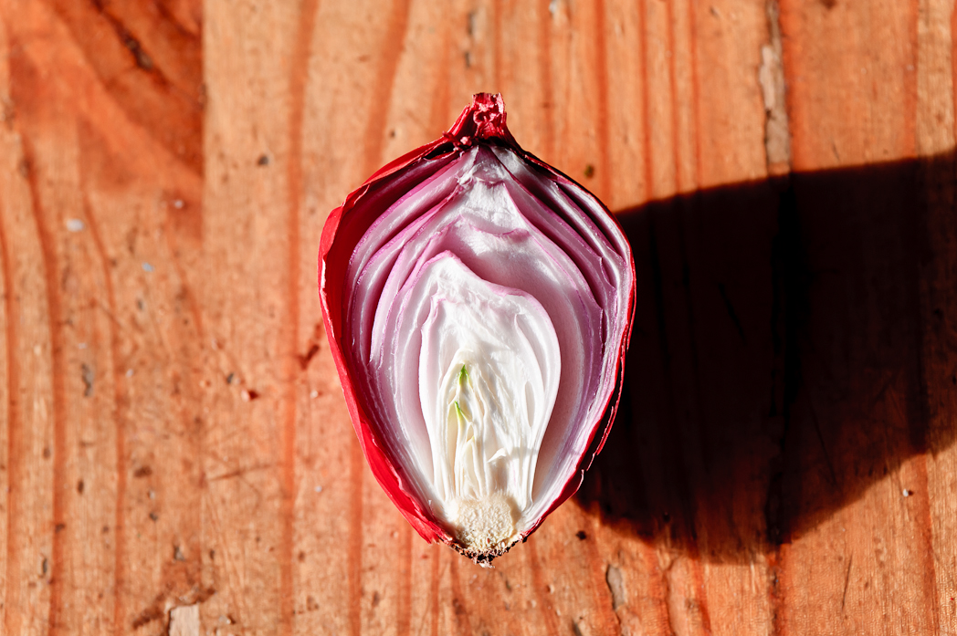Food  Onion red onion vegetable sunlght Transparency kitchen home sliced floral Nature natural edible red growth decay skins texture macro