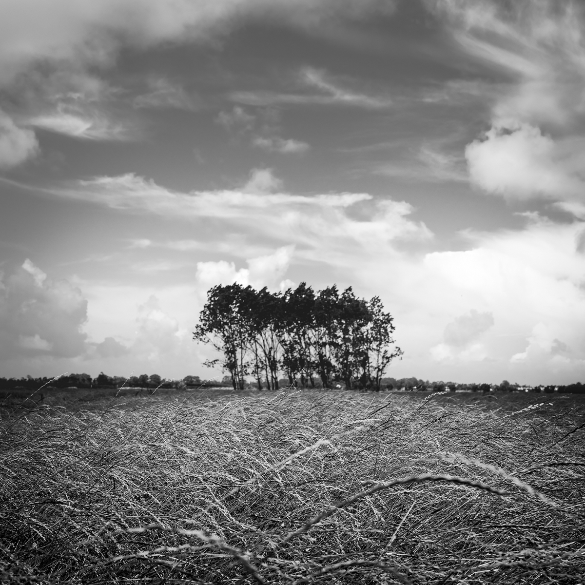 bw black & White Landscape Photography  Paisagem preto e branco ria de aveiro Fotografia