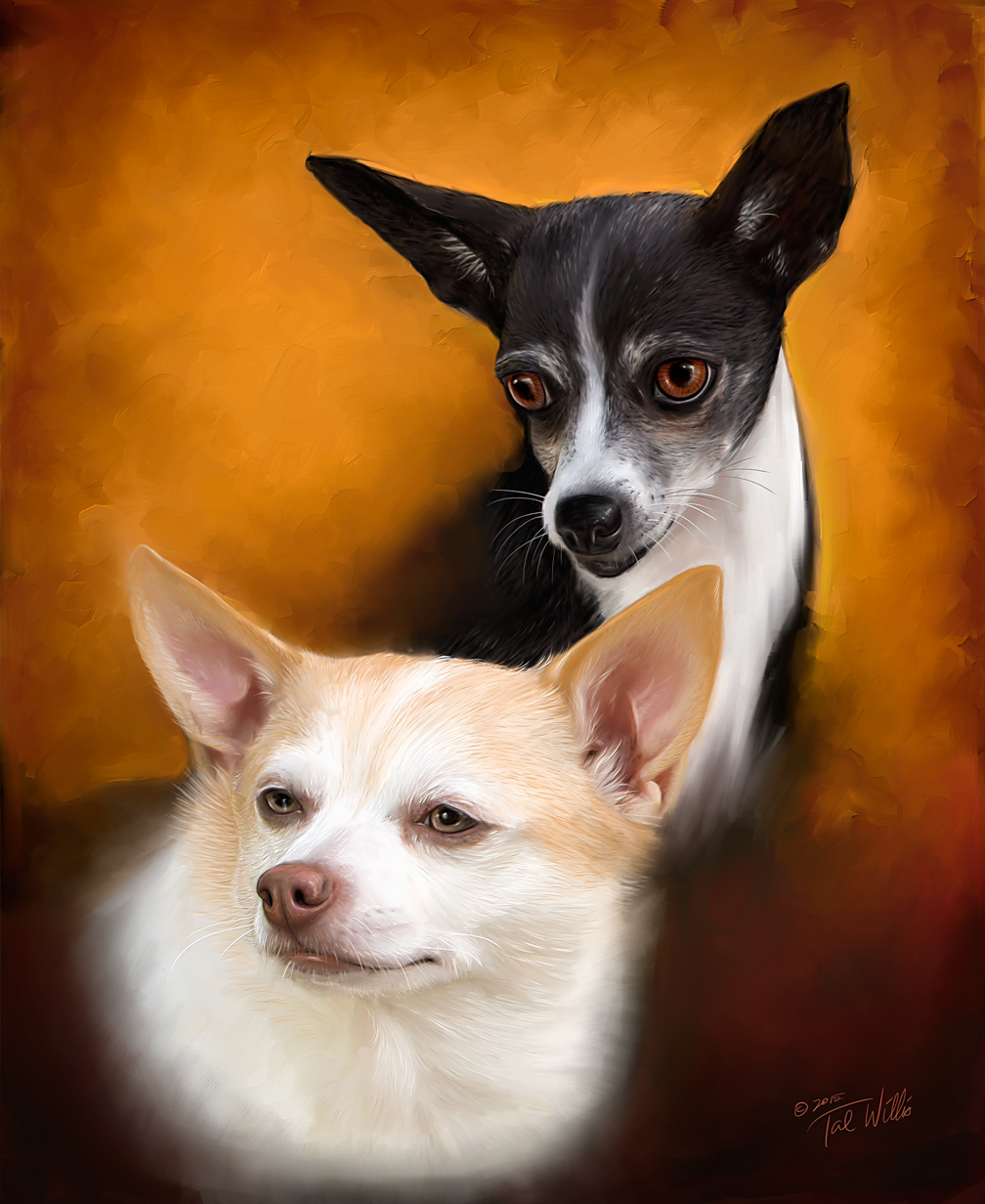 custom pet portraits pet paintings animal paintings jupiter florida artist stuart florida artist