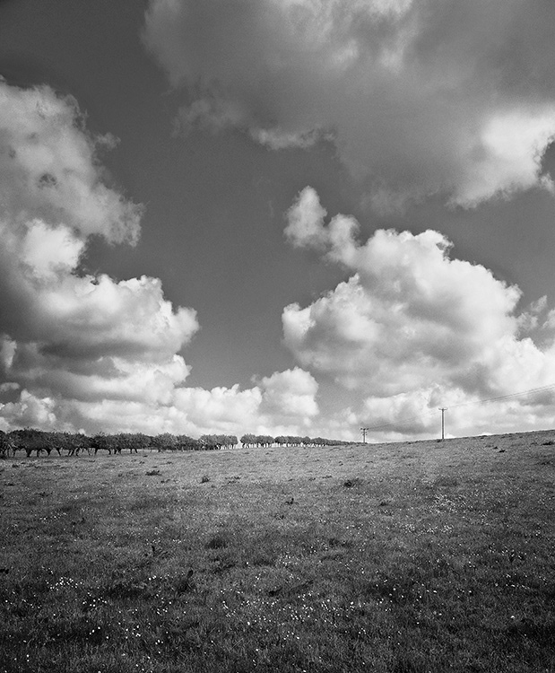 landscape photography black and white colour mountains trees lakes france UK northumberland fine art photography