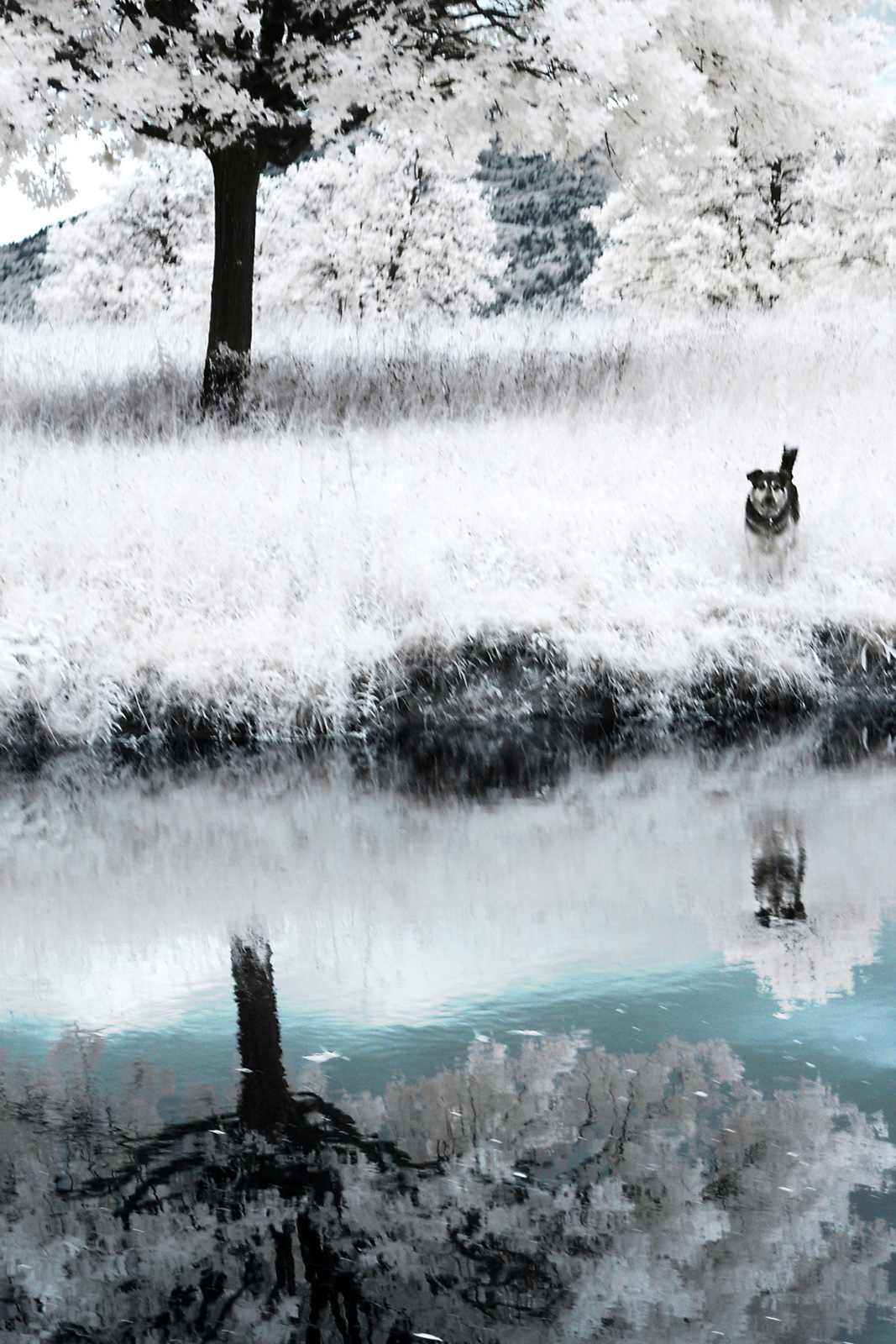infrared Landscape long exposure trieste water arcadia dream