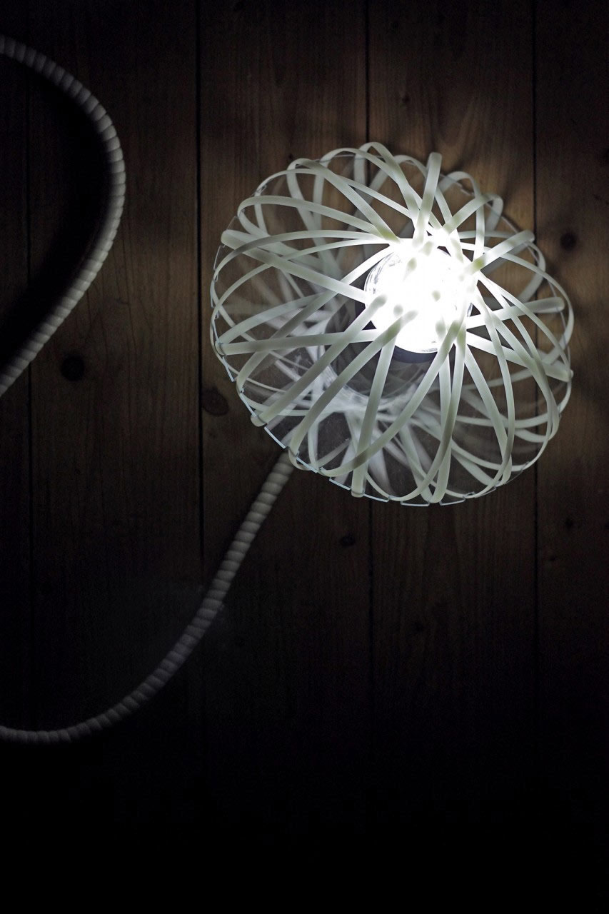 lighting biomimicry Sustainability