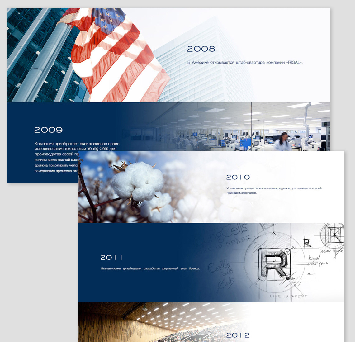 Adobe Portfolio Web design webdesigh graphic design  graphica