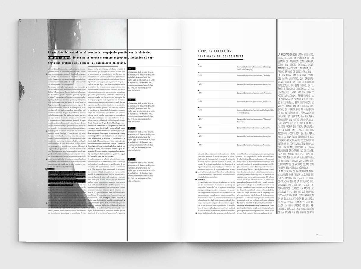 editorial longinotti tipografia Booklet Publicacion fasciculo typography   Layout magazine enciclopedia