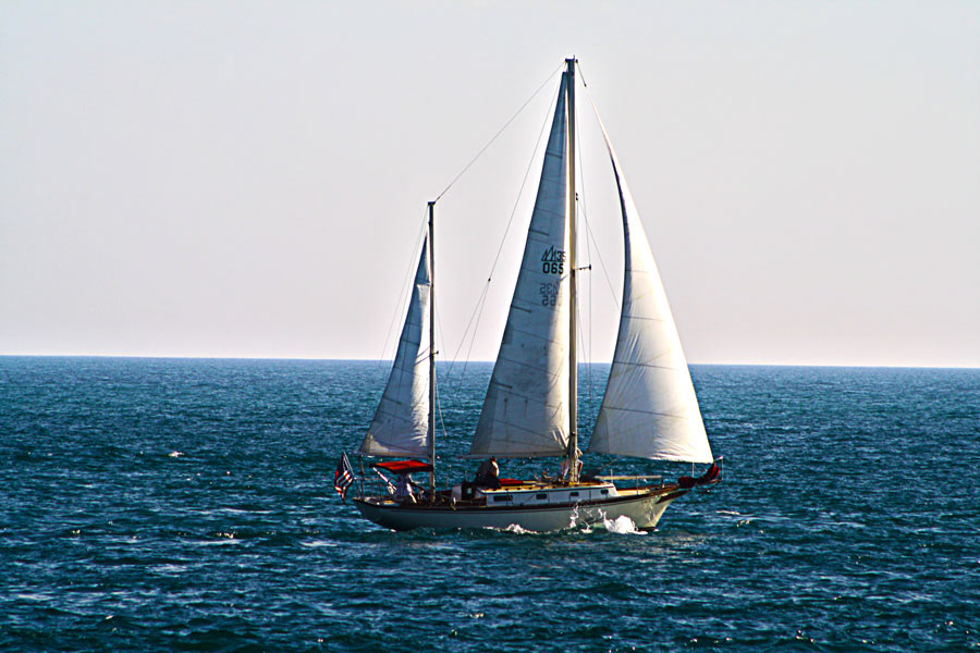 sailing  sail sailboat boat gulf water