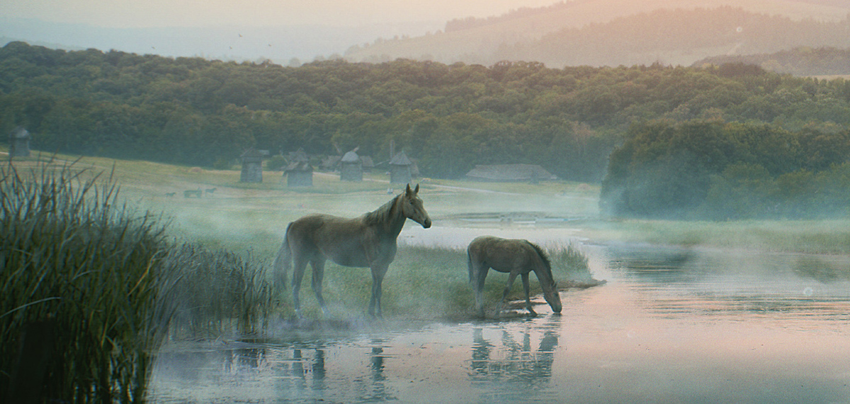 ukraine Landscape environment MORNING fog meadow horse horses Matte Painting reed Sunrise windmill river vavs mountains
