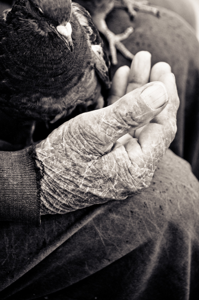 france birds birdman Paris notre dame bread smile old hands black and white John E Photography Street French pidgeon sparrow Wrinkles Nikon D300