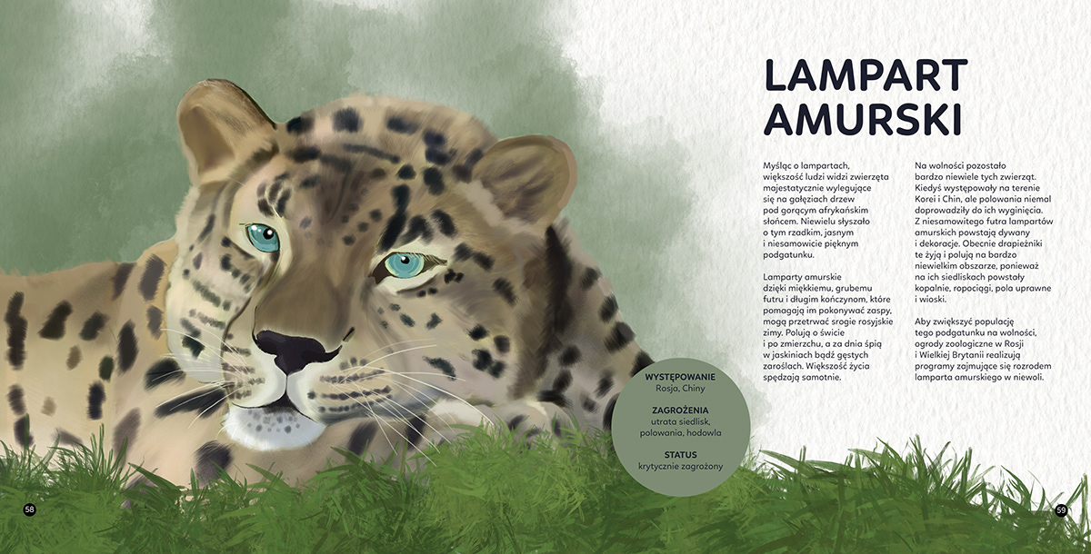 zwierzęta ilustracja digital illustration Drawing  Procreate ILLUSTRATION  animals ilustracja dla dzieci Ilustracja książkowa графика