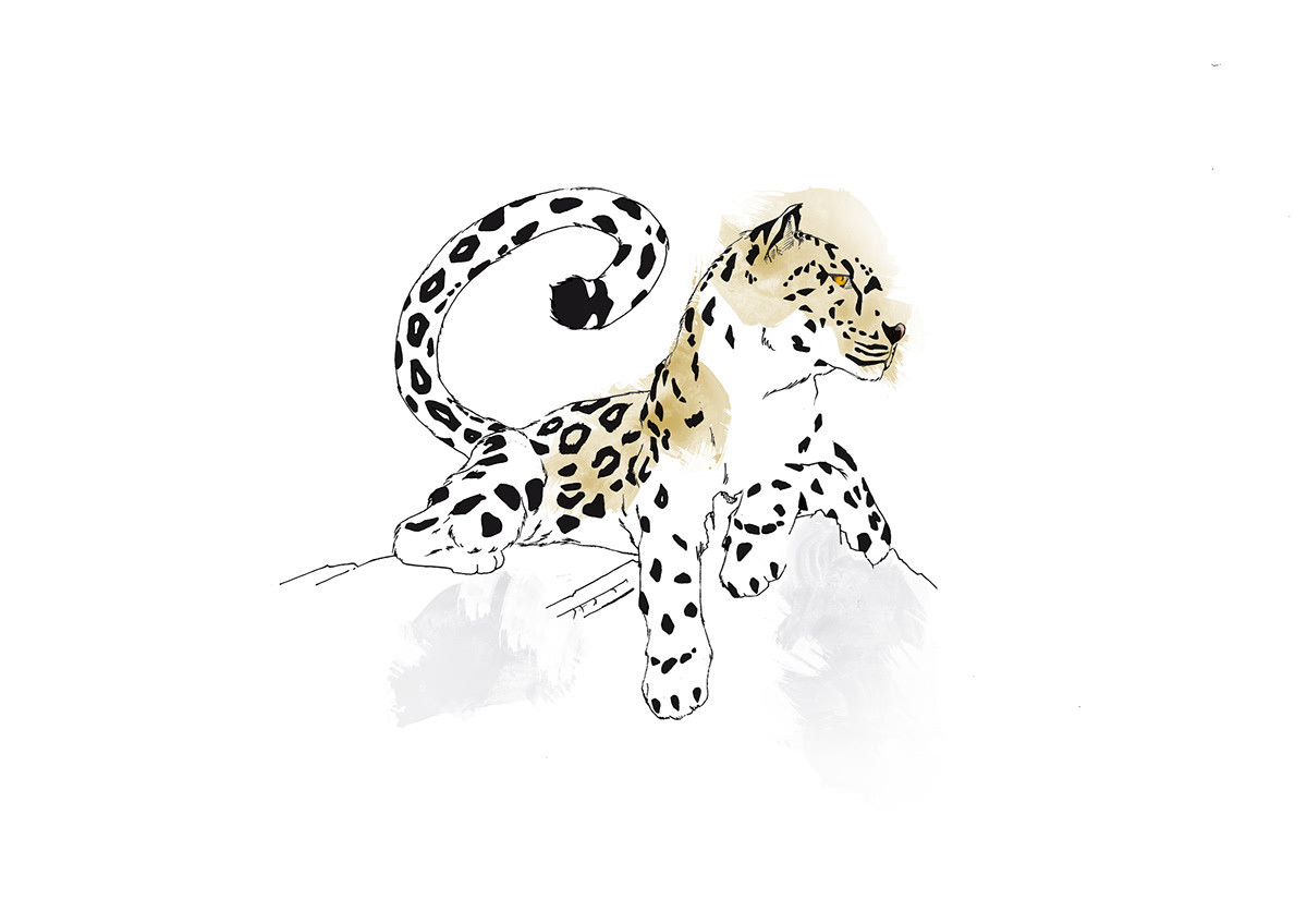 leopard créativité ILLUSTRATION  affiche graphisme
