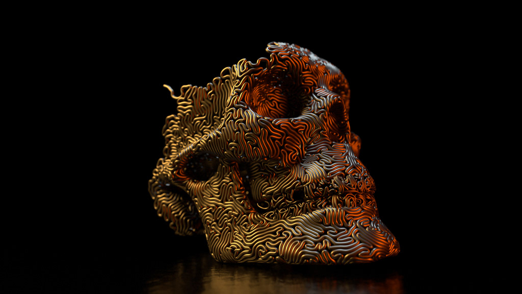 skull animation  human growth simulation dark