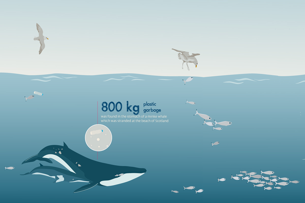infographic pastic garbage Ocean sea animals influence information #madethis  #PassportToCreativity