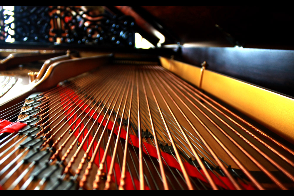 Piano Canon eos 450D beauty Sangiev Swagger muffin steinway photoshop cs5