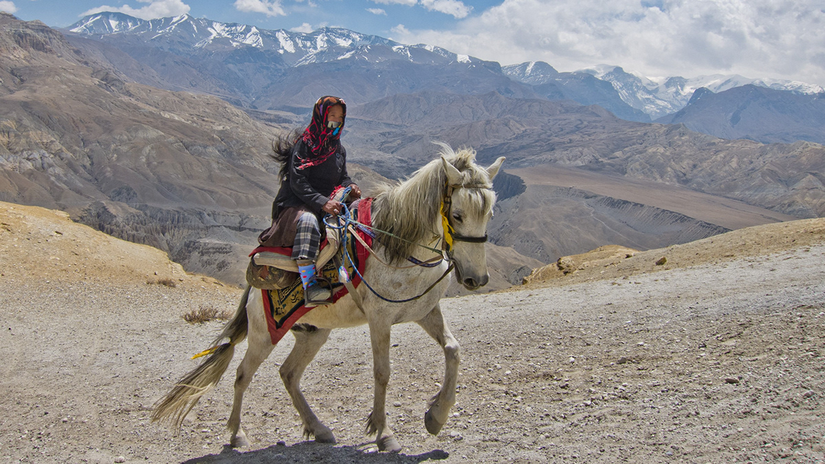 nepal Mustang Travel trekking Nature yak stupa kagbeni chele giling tsarang Lo Manthang dry Tange jomson