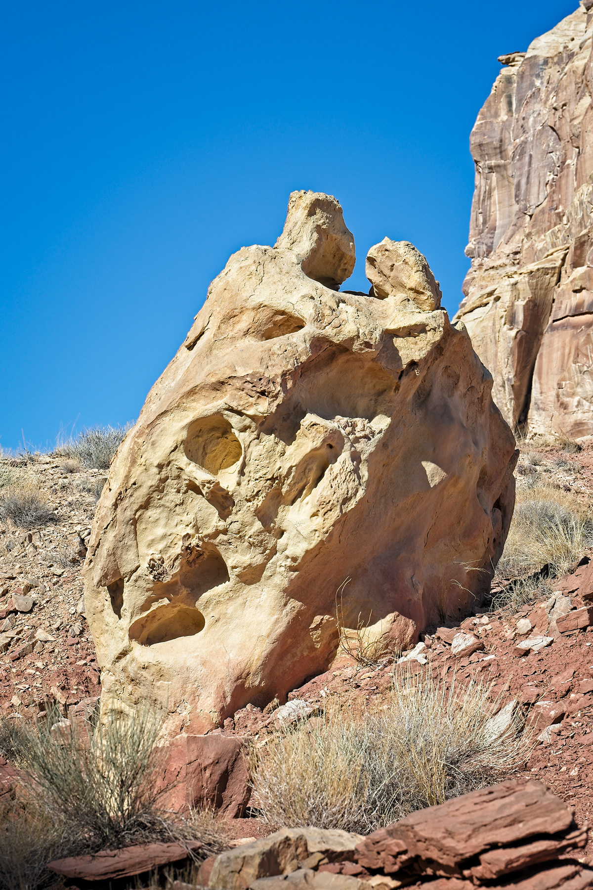 Anasazi arid escalante Landscape petroglyph red rocks slot canyon trees utah