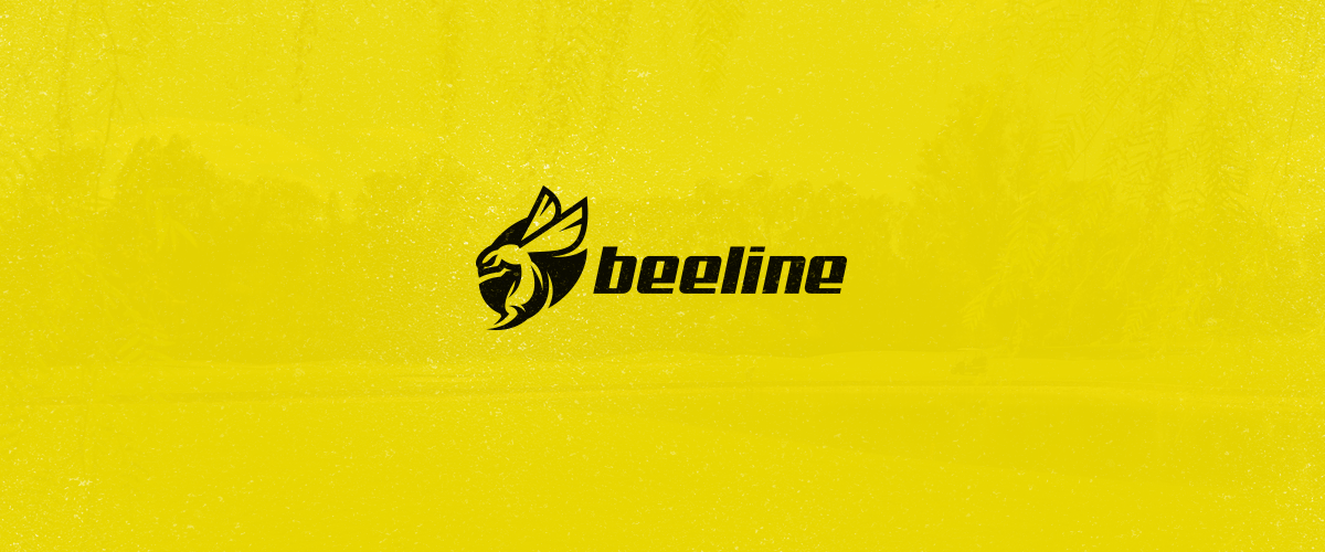 logo identity branding  Mascot Icon Logotype bee sport Label