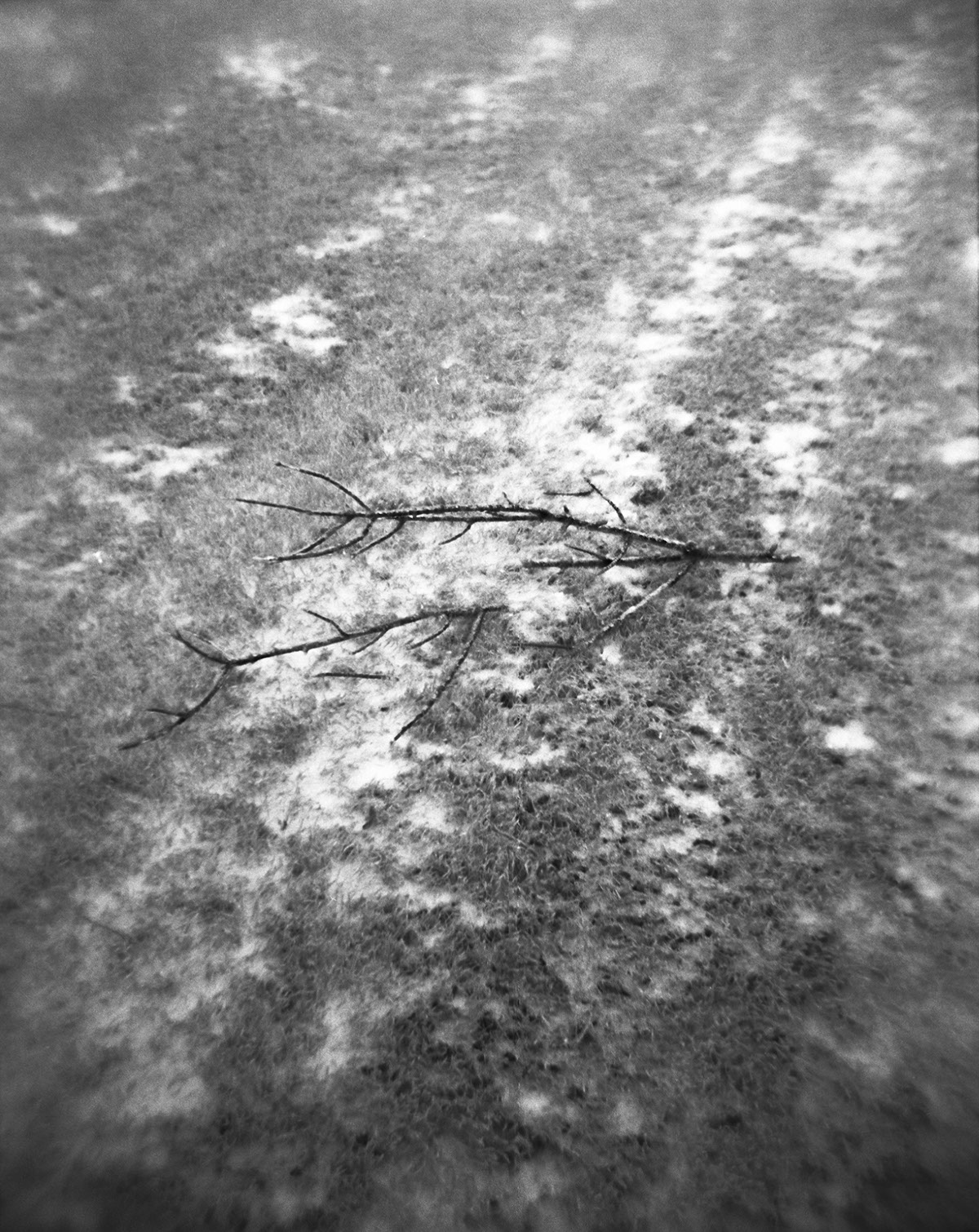 Adobe Portfolio Photography  fine art Landscape Film   winter black and white