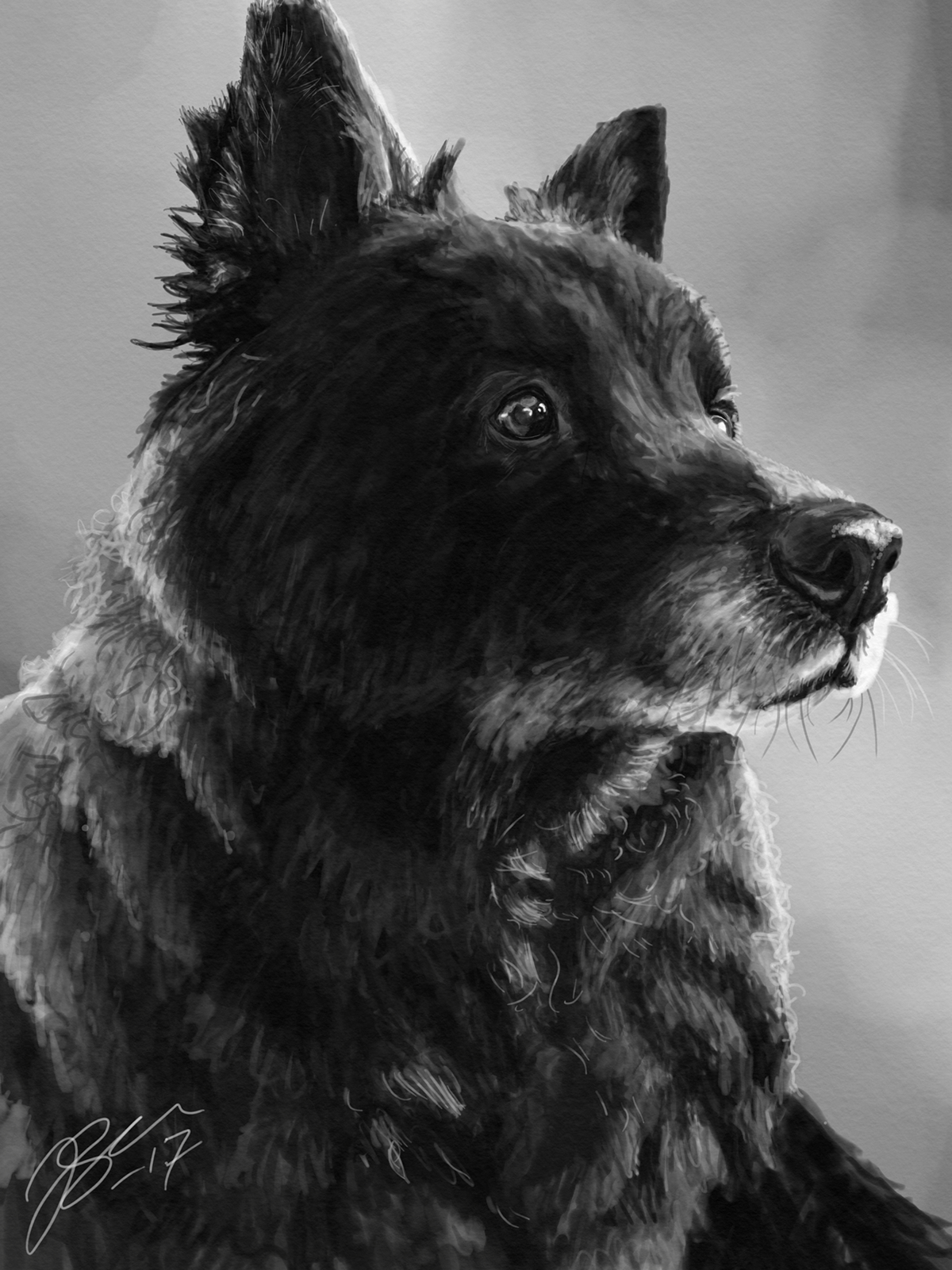 AdobeSketch Drawing  dog