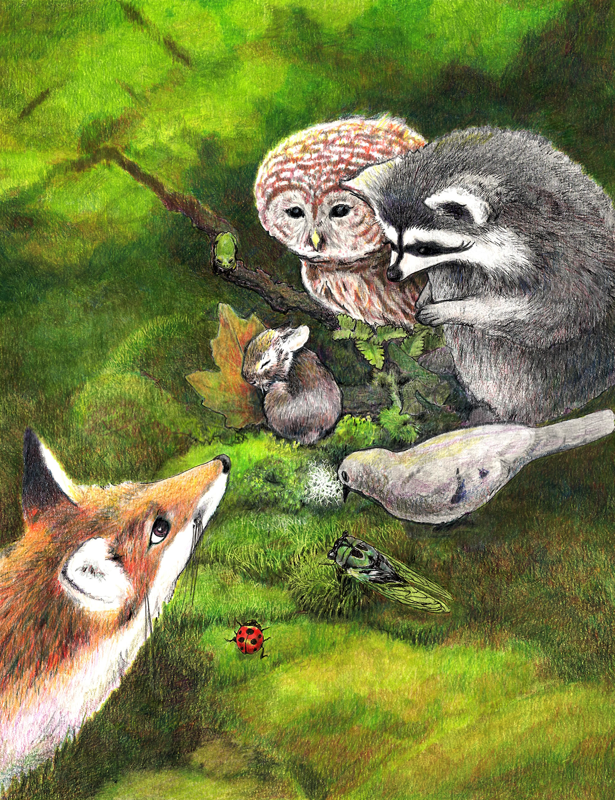 storybook children's illustration forest creatures forest bunny rabbit owl ladybug cicada FOX treefrog frog woodland animals