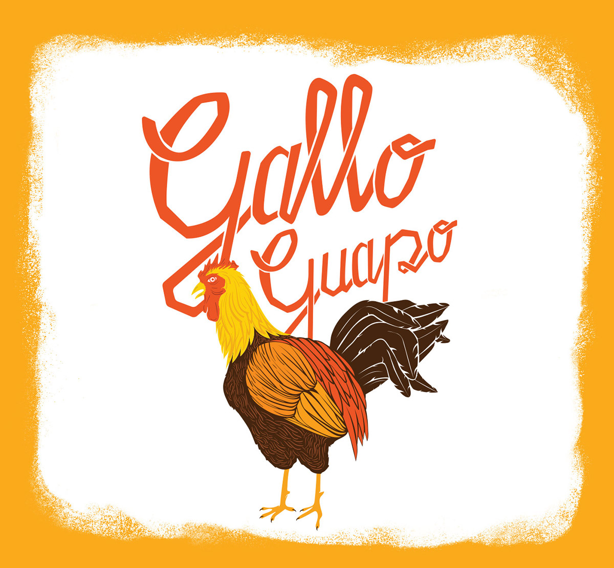 restaurant Latin America Rooster gallo guapo restaurante Latino America