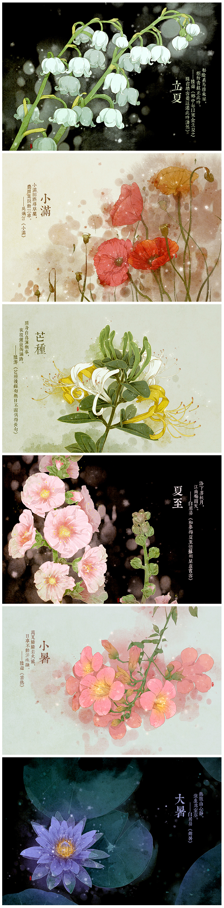 The 24 Solar terms Flowers 二十四节气