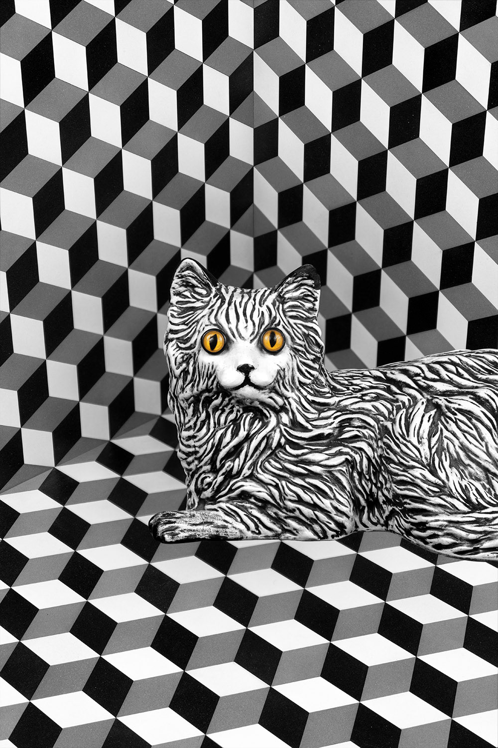 Cat colorful humorous op art Patterns Photography  still life Studio Photography surreal