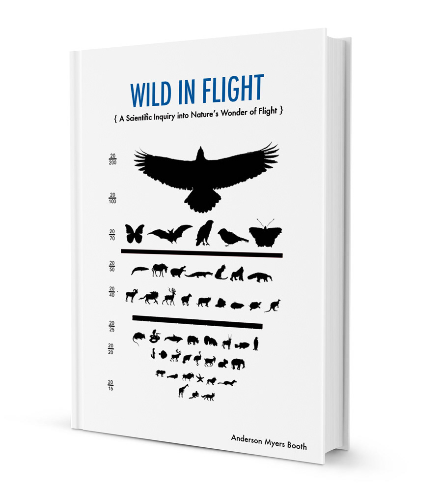 book book cover cover wild birds flight art Nature