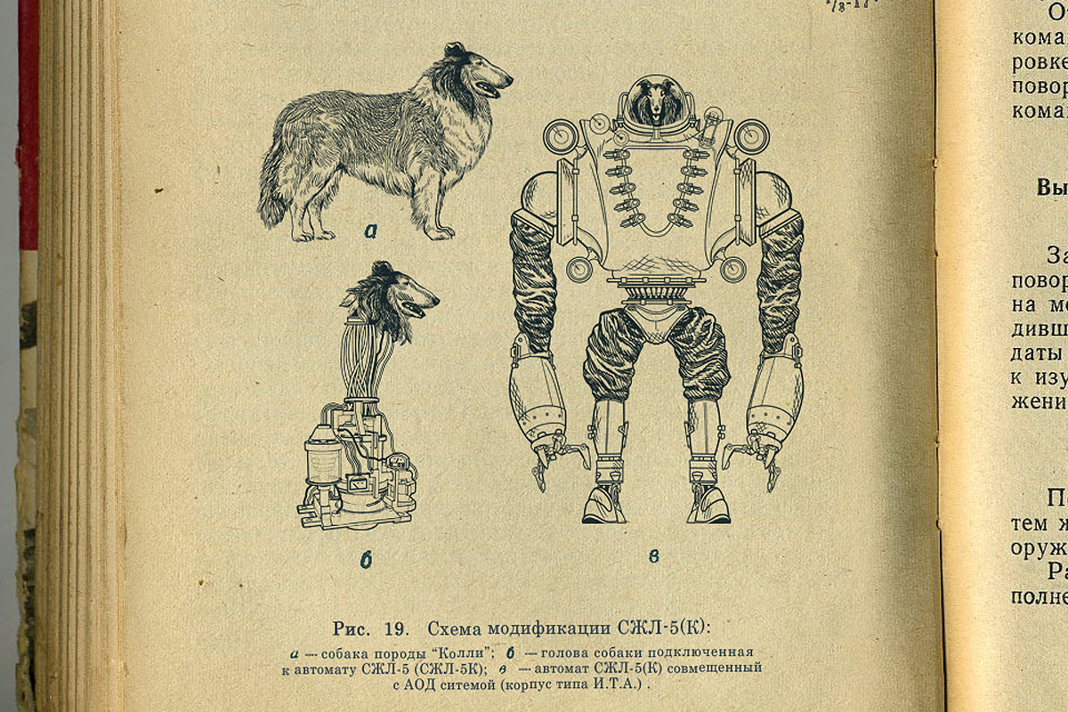 Koliie robot Cyborg suzdal collie dog 3D ussr soviet biorobot Soviet biorob...