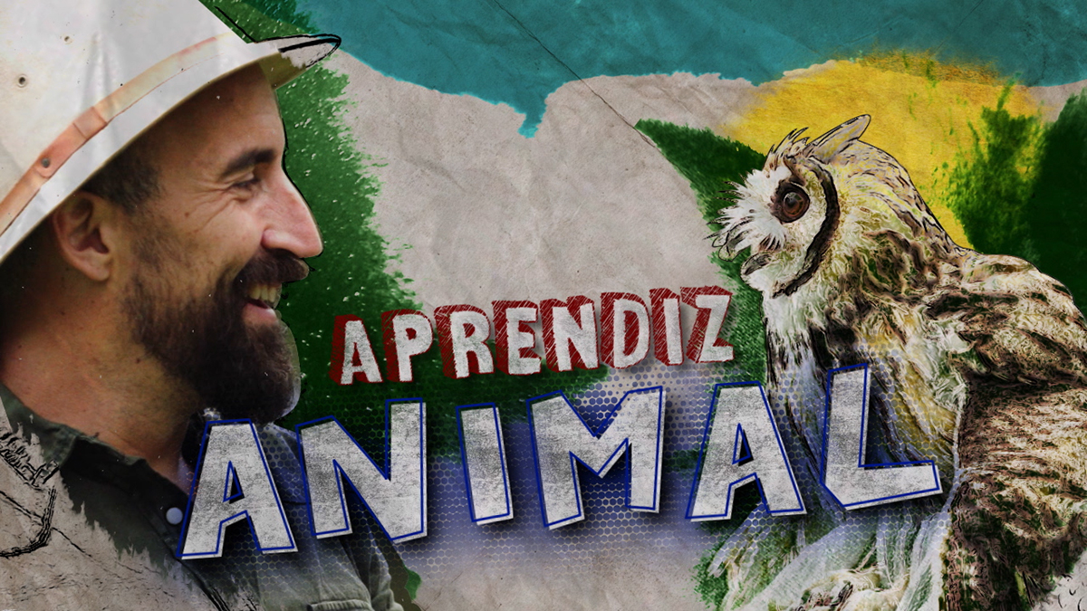 Aprendiz Animal Discovery Channel | Animal Planet on Behance