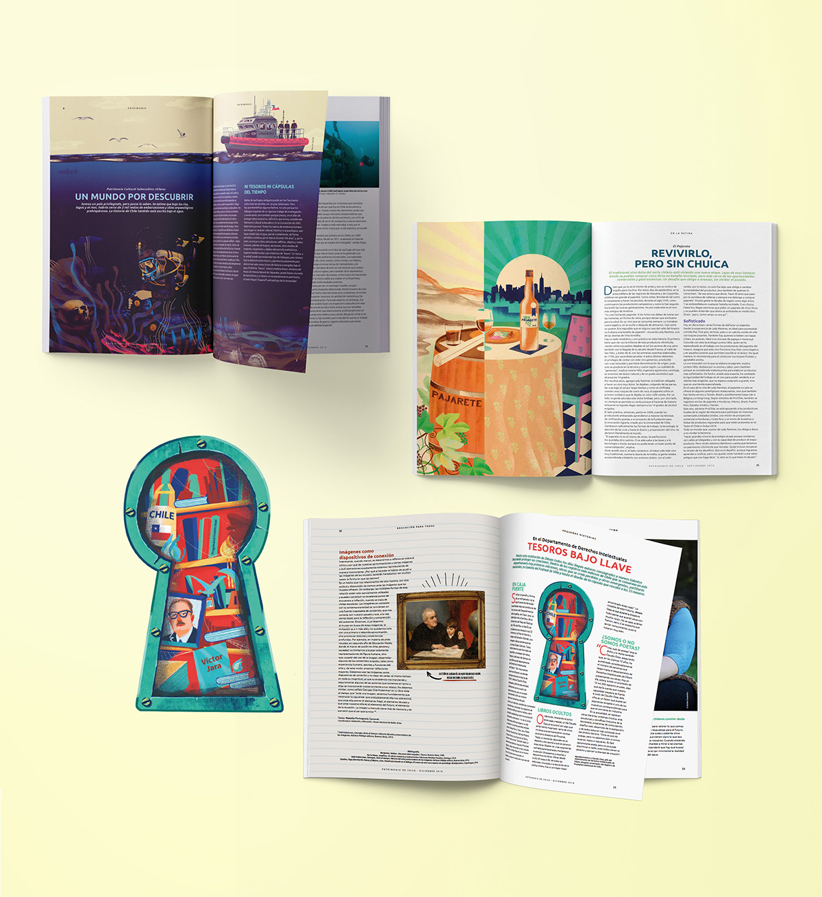 revista patrimonio chile diagramación diseño branding  Carcavilla rebranding ilustracion magazine