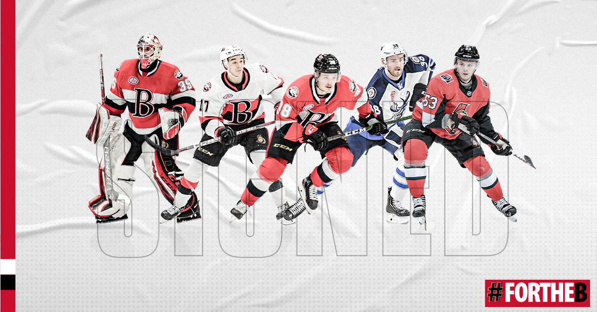 AHL hockey NHL SMSports sports sports creative