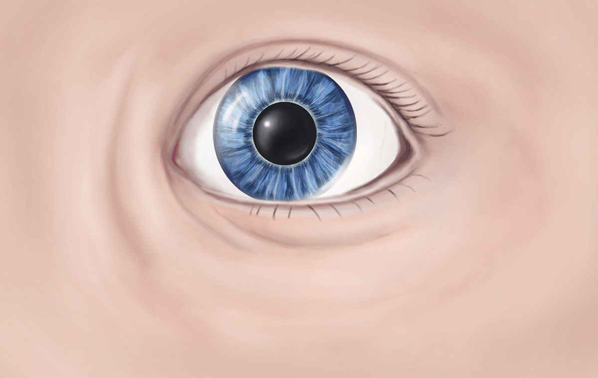 #medicalillustration eye #photoshop #eyeanatomy #presbyopia