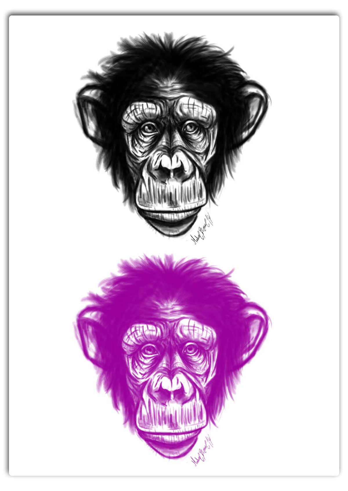 monkey portrait animal DigitalPaint DigitalDraw