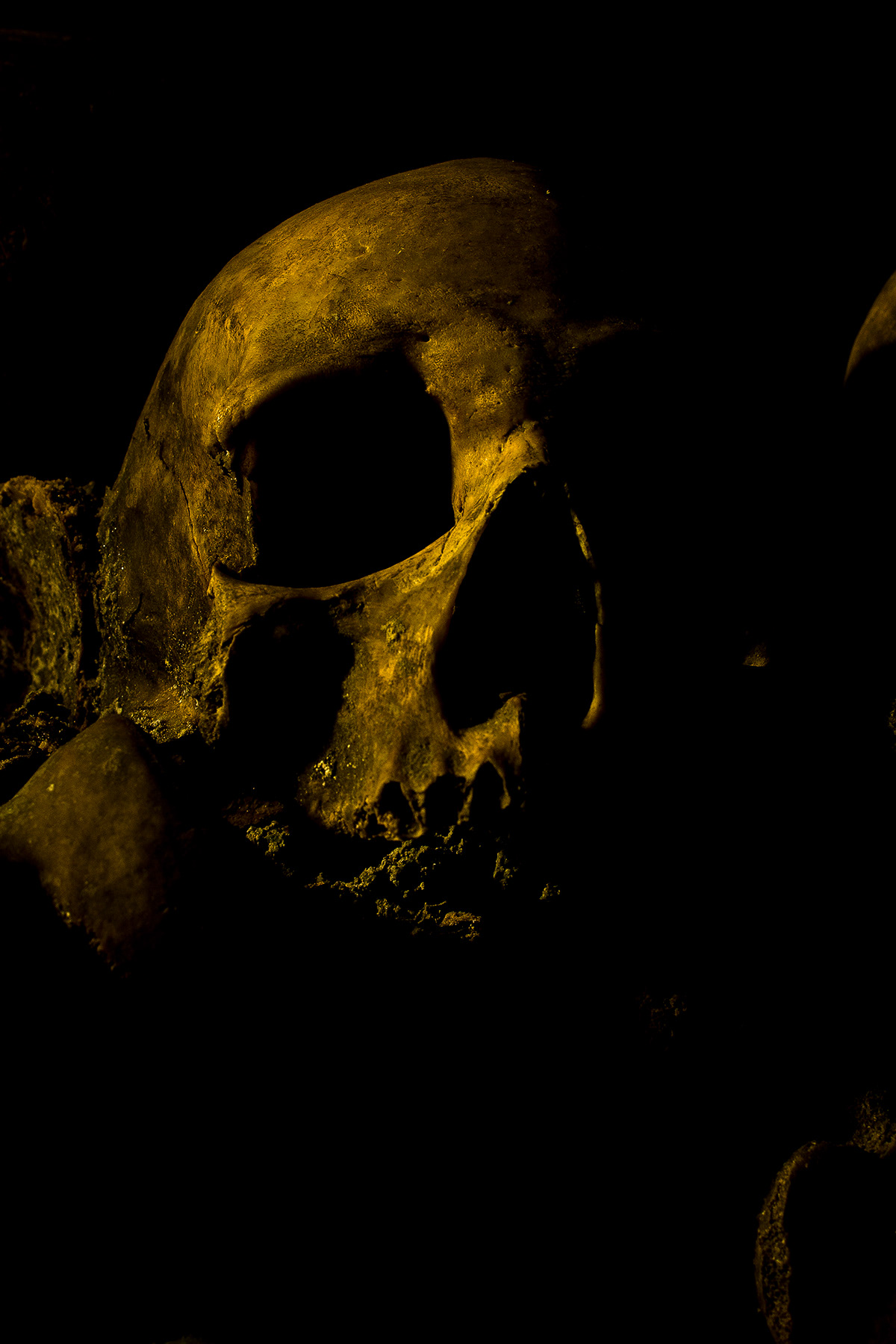 skull Catacumbas de Paris Paris subterraneo Les Catacombes