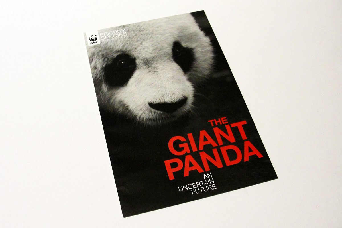 Panda  giant panda WWF World Wildlife Fund newsletter editorial editorial campagin donation