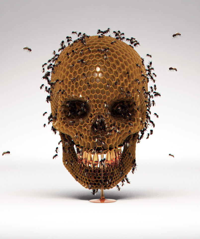 3D skull vray realflow 3dsmax honey bee hive realistic graphic design beehive digital