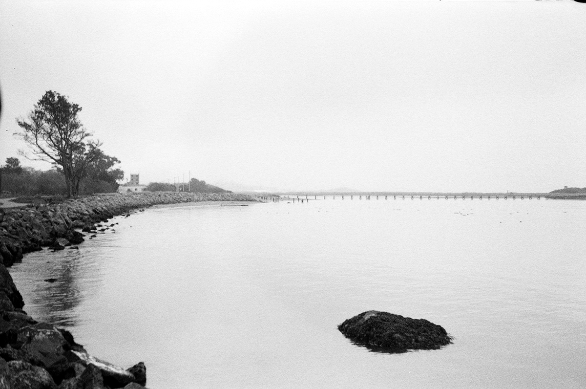 humboldt water Ocean Film   35mm forrest grainy black and white san fransisco RoadTrip