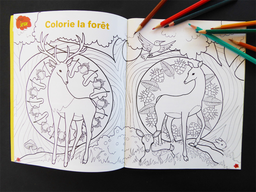 child colorbook deer forest forest animals FOX Games labyrinth magazine Milan presse