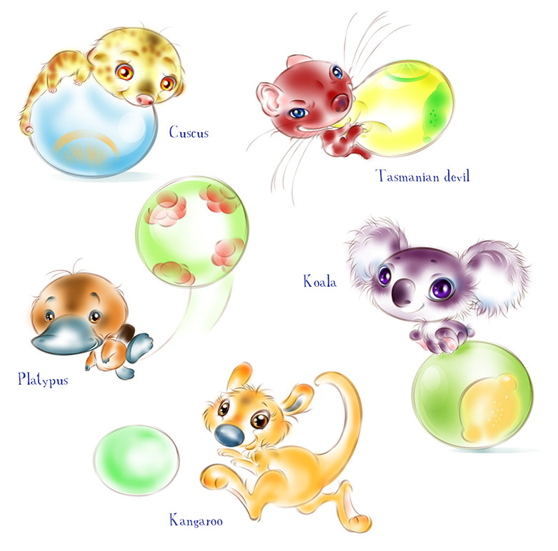 animals caracher design kitten puppy Character scetch Пушистики