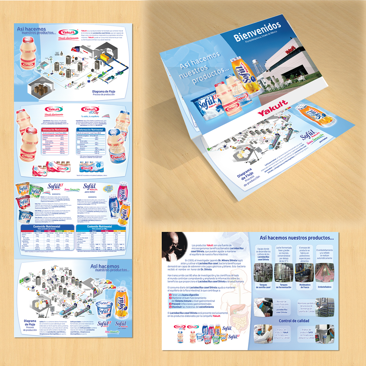 brochure folletos  Yakult