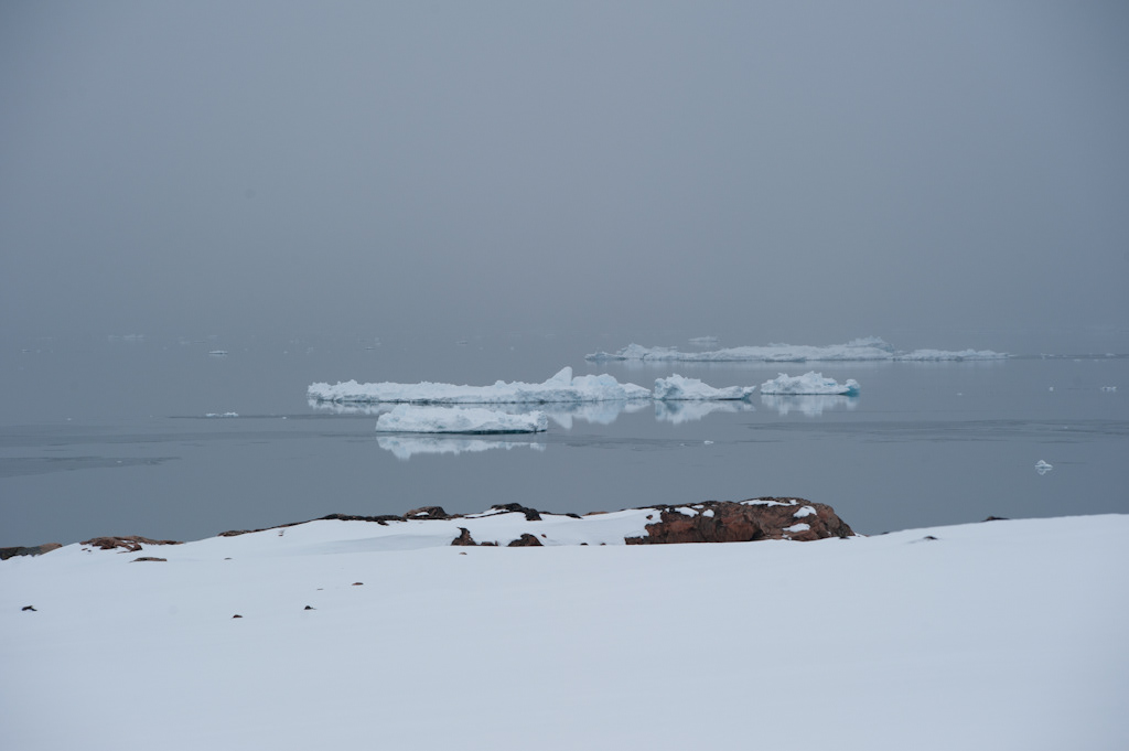 Landscape Greenland Dog sledge art
