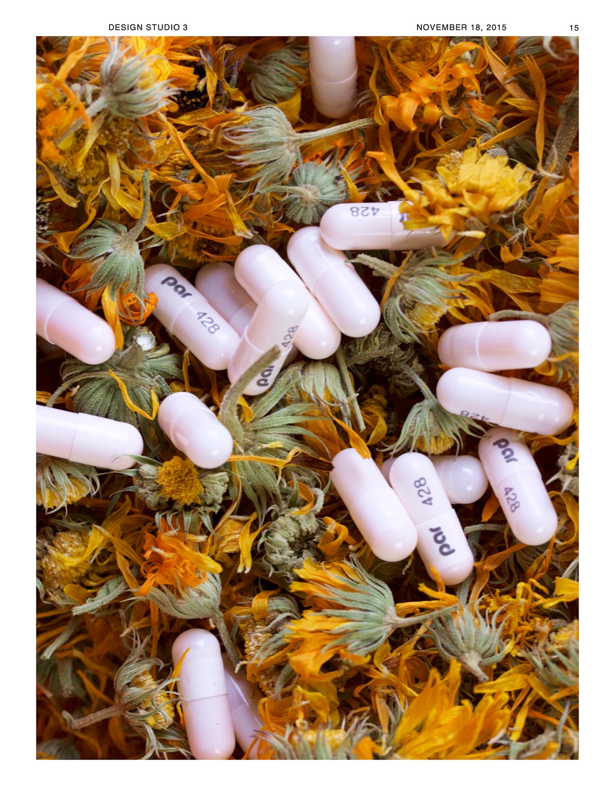 bitter pill herbalism Alternative Medicine modern medicine medicine Pharmaceuticals
